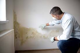 Best Asbestos and Lead Testing During Mold Inspection  in Pumpkin Center, NC